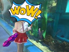 -北国之春国宴(乌兰察布店)