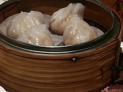 -金燕岛潮州酒楼