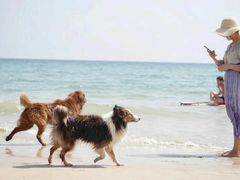 -西涌国际滨海旅游区