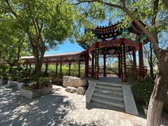 -北京市海淀外国语实验学校