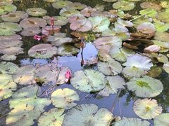 -白沙门生态公园