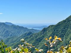 -大岭沟猕猴桃谷风景区