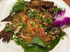 香茅草烤鱼-老滇山寨•云南特色菜•地方菜•民族风情歌舞表演(金碧店)