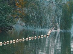 -大兴滨河森林公园