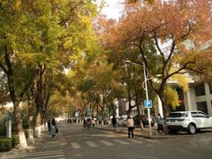 -河南师范大学(主校区)