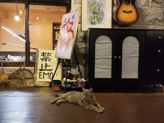 -猫岛主趣味餐厅(鼓浪屿店)