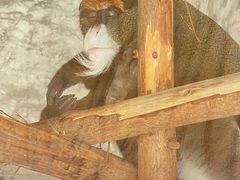 -石家庄市动物园