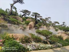 -罗红摄影艺术馆