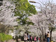 -南山植物园