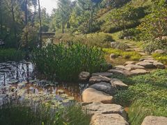 -云溪植物园