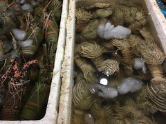 -金巴兰鱼市场