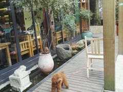 -旅马餐厅(茅家埠店)