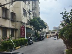 -高桥小香松糕