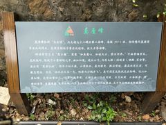 -雨花胜境