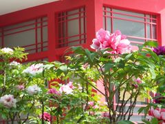 -国家植物园南园