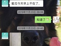 -安安宠物医院(佳林路分院)