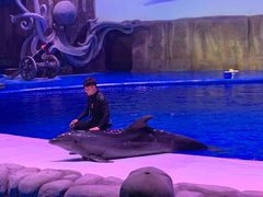 -华夏文旅海洋公园