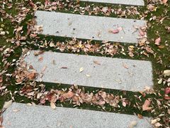 -徐家汇源景区-衡山公园