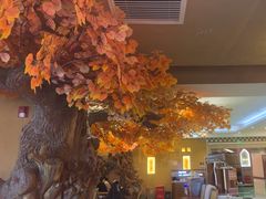-君邦火锅(新疆大厦店)