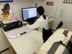 -艾贝尔宠物医院 ·中兽医·宠保定点(北门桥店)