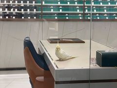 -礼尚往来奢侈品鉴定评估中心