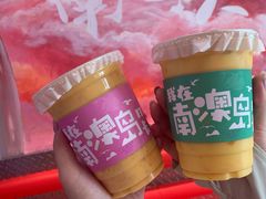 -南澳岛打卡果汁冰公司