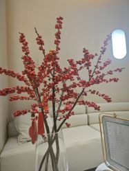 -万阡国际专业祛斑·祛痣·祛疤连锁