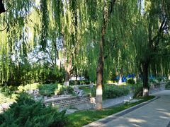 景点-菖蒲河公园