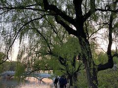 -北陵公园