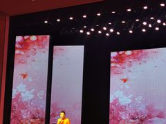 -刘老根大舞台-长春旗舰店