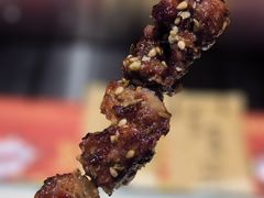 -诸锣记烤串·锦州烧烤(淘金店)