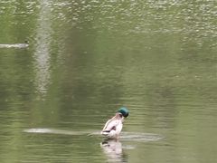 -前关湿地公园
