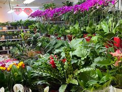 -三旗百汇商品城