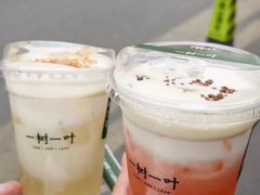 -一树一叶·福建茶档(石鼓路店)