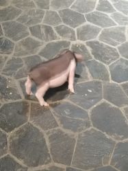 -Zoolung Zoolung动物主题公园(海信广场店)