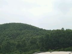-美的鹭湖森林度假区
