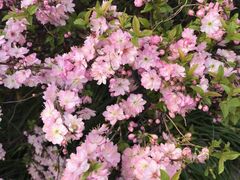 -白塘生态植物园