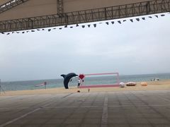 -玫瑰海岸文化旅游度假区