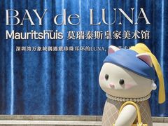 -深圳湾万象城