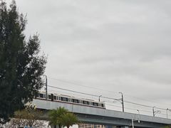 -宝安西湾红树林湿地公园