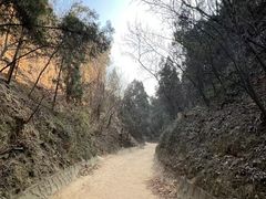 -函谷关历史文化旅游区