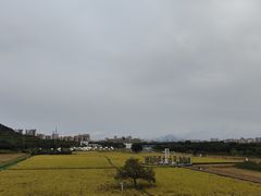 -艾米稻香小镇