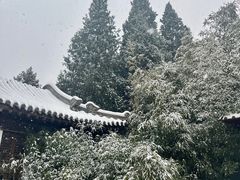 -团结湖公园
