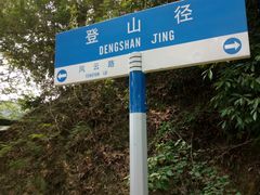 -风云岭森林公园
