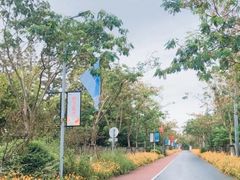 -前小桔亲子创意农场·草莓采摘·露营烧烤