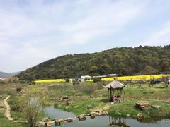 -龙寺生态园
