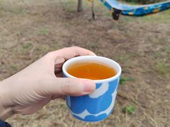 -渭河城市绿地运动公园