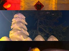 -长春市南湖公园