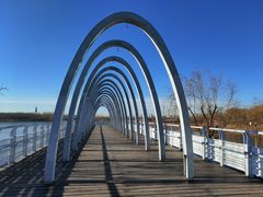 -大兴滨河森林公园