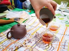 -铁山坪森林公园